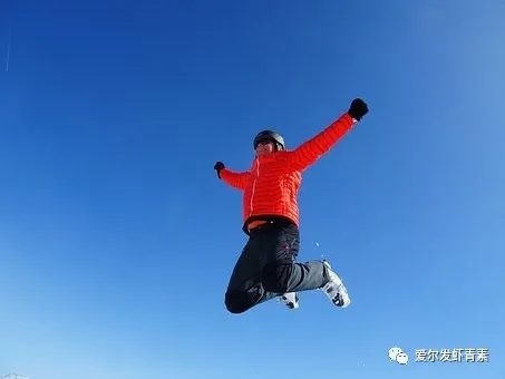 爱尔发虾青素