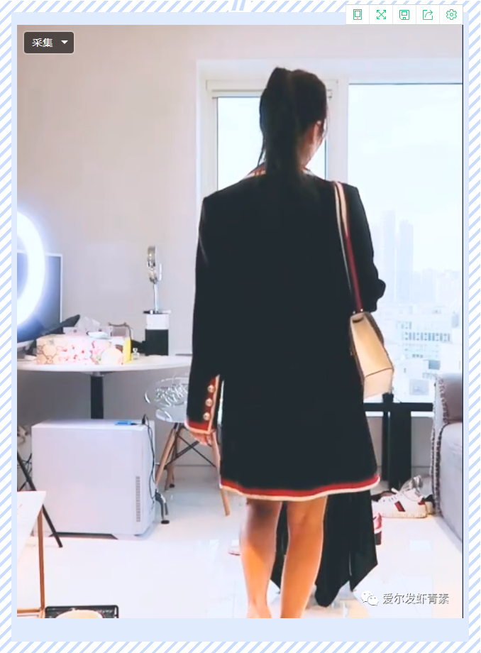 爱尔发虾青素