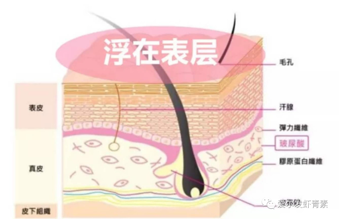 爱尔发虾青素