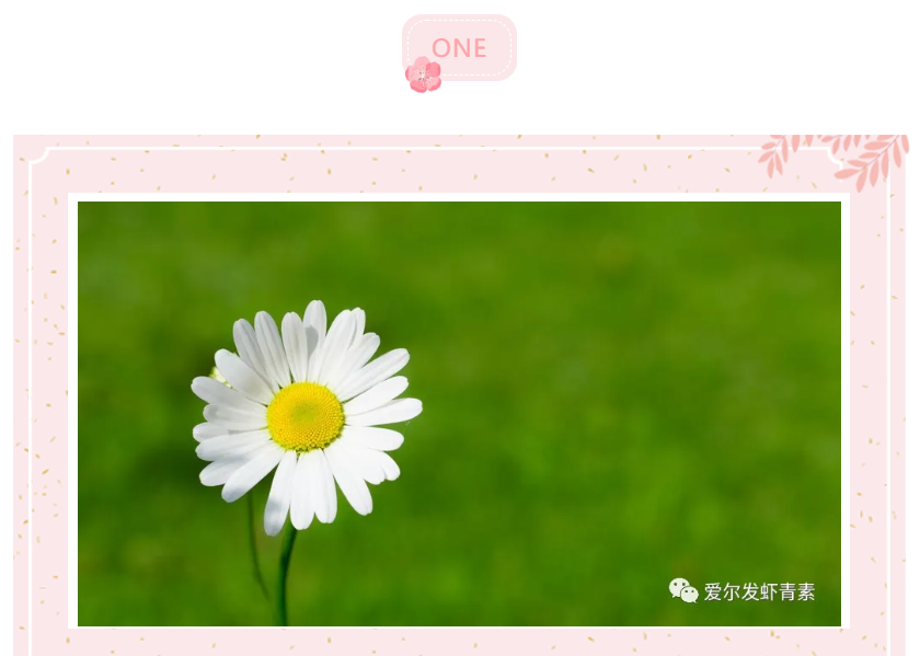 爱尔发虾青素 爱尔发虾青素
