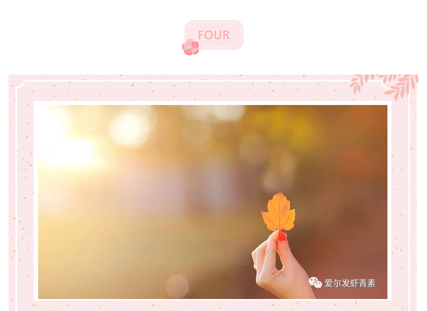 爱尔发虾青素 爱尔发虾青素