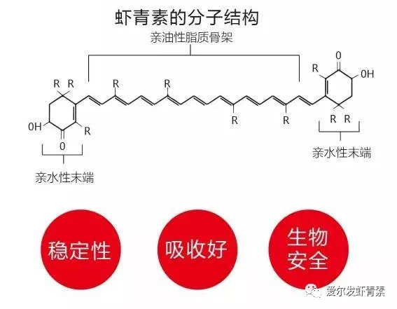 爱尔发虾青素
