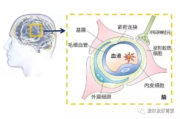 微信图片_20200629165131.jpg