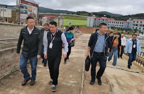 云南爱尔发虾青素
