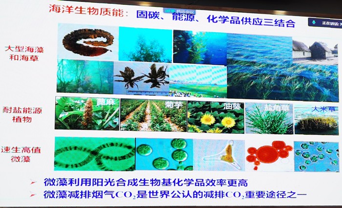 云南爱尔发生物技术股份有限公司,云南爱尔发,爱尔发,爱尔发虾青素,虾青素,云南虾青素
