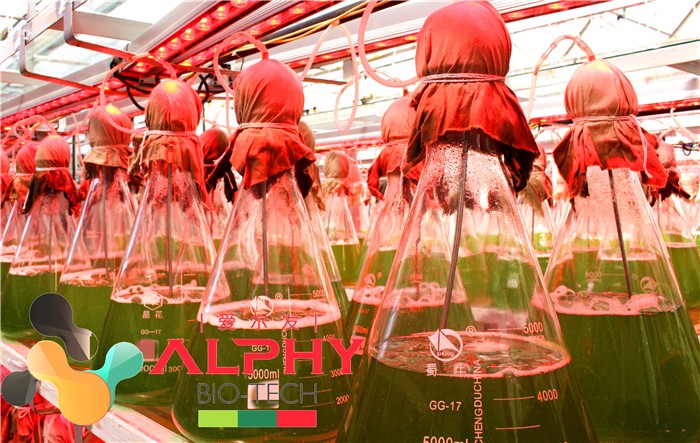云南爱尔发生物技术股份有限公司,云南爱尔发,爱尔发,爱尔发虾青素,虾青素,虾青素产品,红球藻基地,爱尔发品牌,云南虾青素