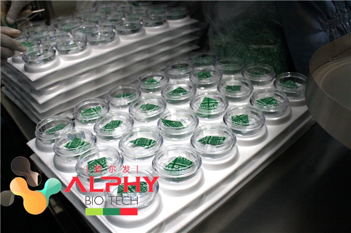 云南爱尔发生物技术股份有限公司,云南爱尔发,爱尔发,爱尔发虾青素,虾青素,虾青素产品,红球藻基地,爱尔发品牌,云南虾青素