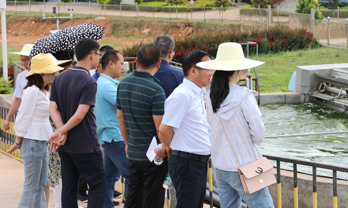 云南爱尔发生物技术股份有限公司,云南爱尔发,爱尔发,爱尔发虾青素,虾青素