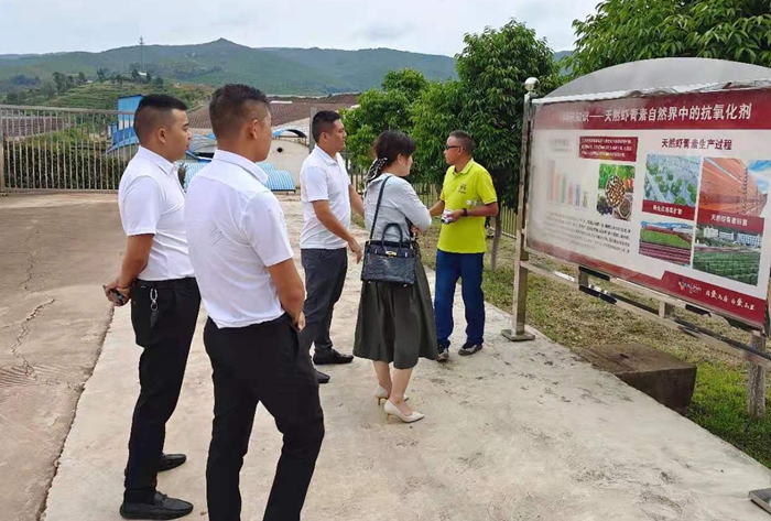 云南爱尔发生物技术股份有限公司,云南爱尔发,爱尔发,爱尔发虾青素,虾青素