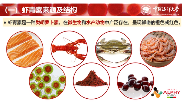 云南爱尔发生物技术股份有限公司,云南爱尔发,爱尔发,爱尔发虾青素,虾青素,虾青素研讨会