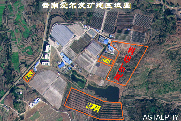 云南爱尔发生物技术股份有限公司,云南爱尔发,爱尔发,爱尔发虾青素,虾青素,张瑞龄,中华楷书第一人