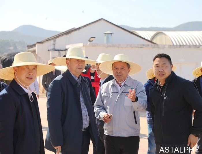 云南爱尔发生物技术股份有限公司,云南爱尔发,爱尔发,爱尔发虾青素,虾青素,调研