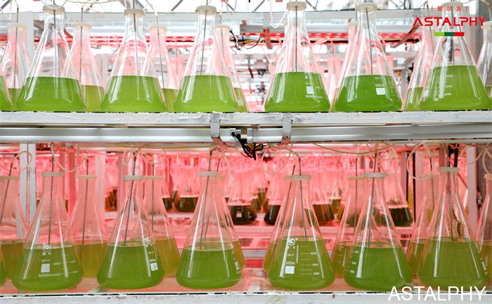 云南爱尔发生物技术股份有限公司,云南爱尔发,爱尔发,爱尔发虾青素,虾青素