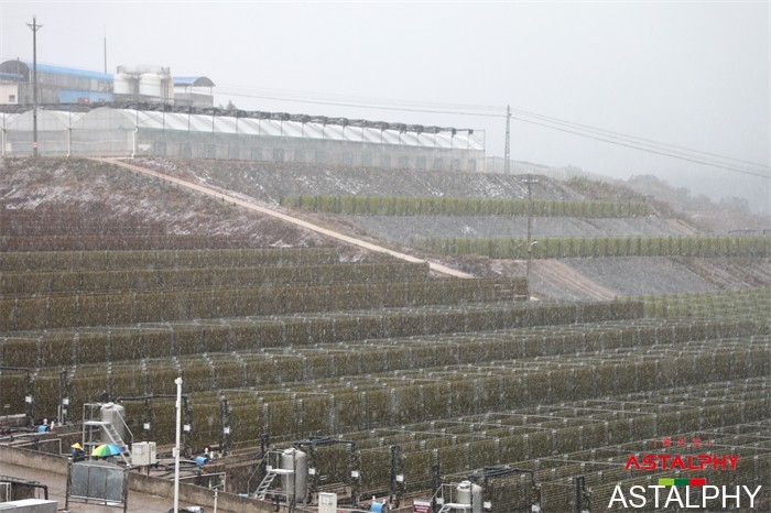 云南爱尔发生物技术股份有限公司,云南爱尔发,爱尔发,爱尔发虾青素,虾青素,下雪