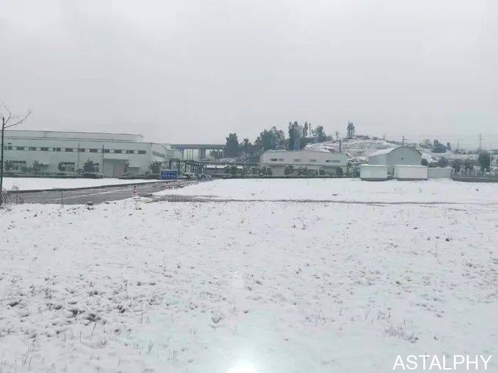 一场雪,点燃了云南爱尔康的浪漫 云南爱尔发生物技术股份有限公司,云南爱尔发,爱尔发,爱尔发虾青素,虾青素,下雪,爱尔康