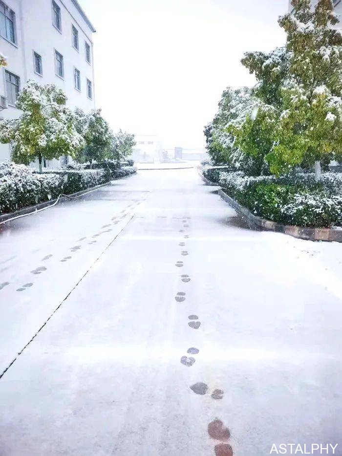 一场雪,点燃了云南爱尔康的浪漫 云南爱尔发生物技术股份有限公司,云南爱尔发,爱尔发,爱尔发虾青素,虾青素,下雪,爱尔康