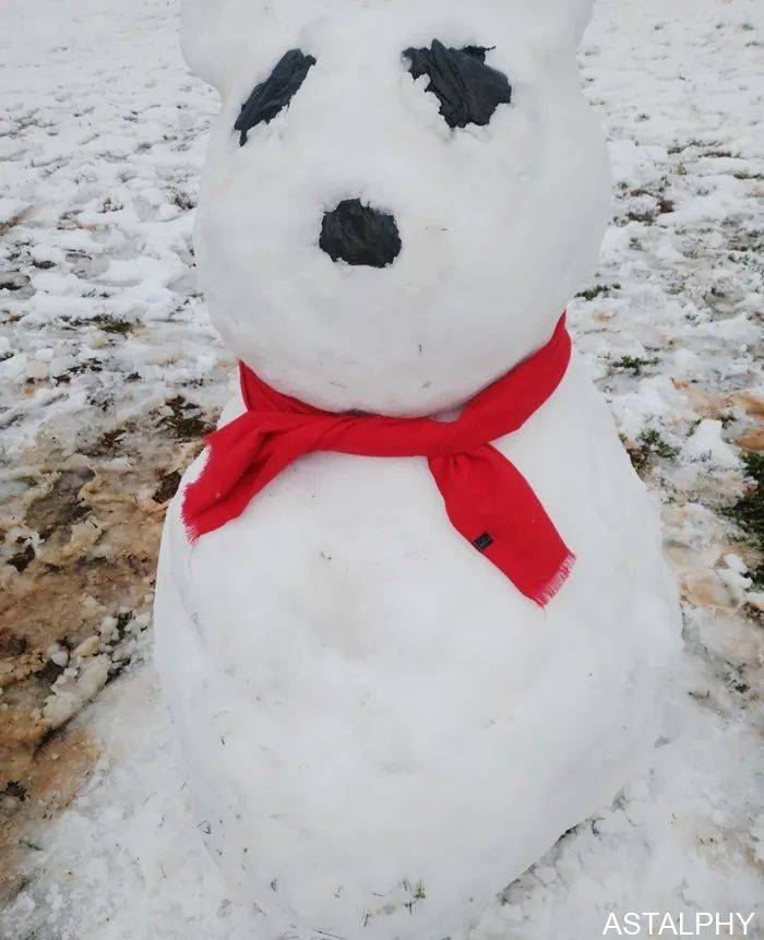 一场雪,点燃了云南爱尔康的浪漫 云南爱尔发生物技术股份有限公司,云南爱尔发,爱尔发,爱尔发虾青素,虾青素,下雪,爱尔康