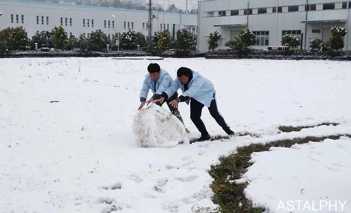 一场雪,点燃了云南爱尔康的浪漫 云南爱尔发生物技术股份有限公司,云南爱尔发,爱尔发,爱尔发虾青素,虾青素,下雪,爱尔康