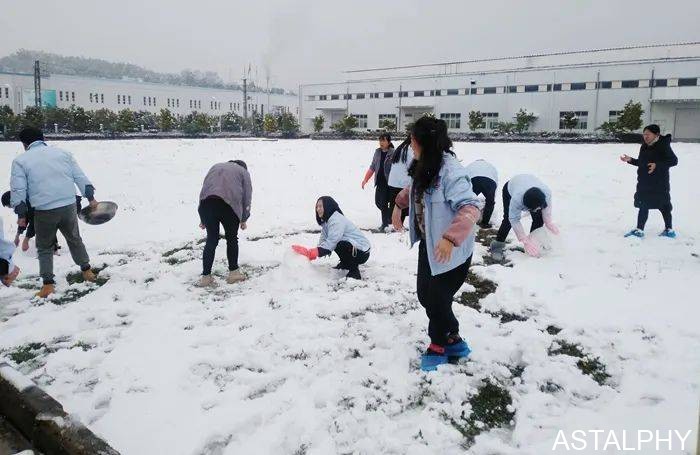 一场雪,点燃了云南爱尔康的浪漫 云南爱尔发生物技术股份有限公司,云南爱尔发,爱尔发,爱尔发虾青素,虾青素,下雪,爱尔康