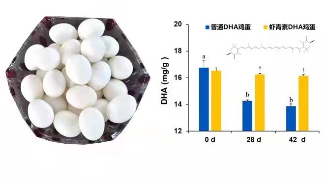 云南爱尔发生物技术股份有限公司,云南爱尔发,爱尔发,爱尔发虾青素,虾青素,虾青素鸡蛋