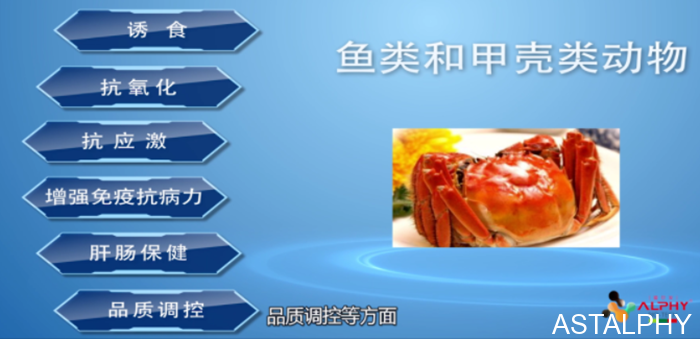 云南爱尔发生物技术股份有限公司,麦康森,爱尔发,爱尔发虾青素,虾青素